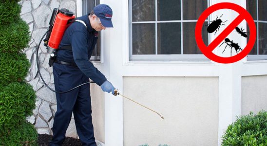 Bayraklı Kene İlaçlama böcek ilaçlama ve haşere kontrolü — ilaclama-tr.com